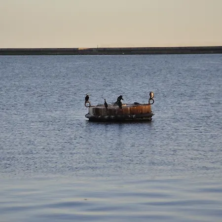 Appartement New Romantic