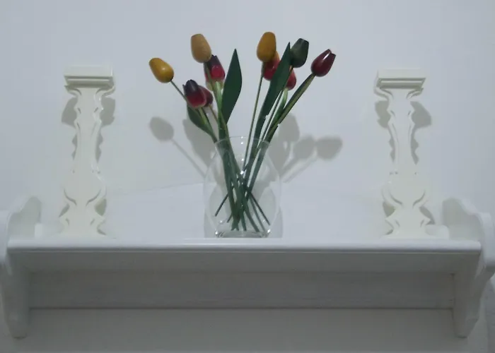 新罗曼蒂克公寓 公寓 *